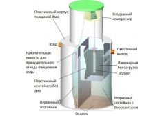 Биозон 10